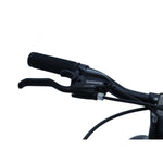 CHANTY Roader 24