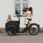 Chanty Cargo Kaupunkisähköpyörä
